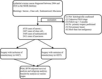 The impact of omentectomy on cause-specific survival of Stage I–IIIA epithelial ovarian cancer: A PSM–IPTW analysis based on the SEER database